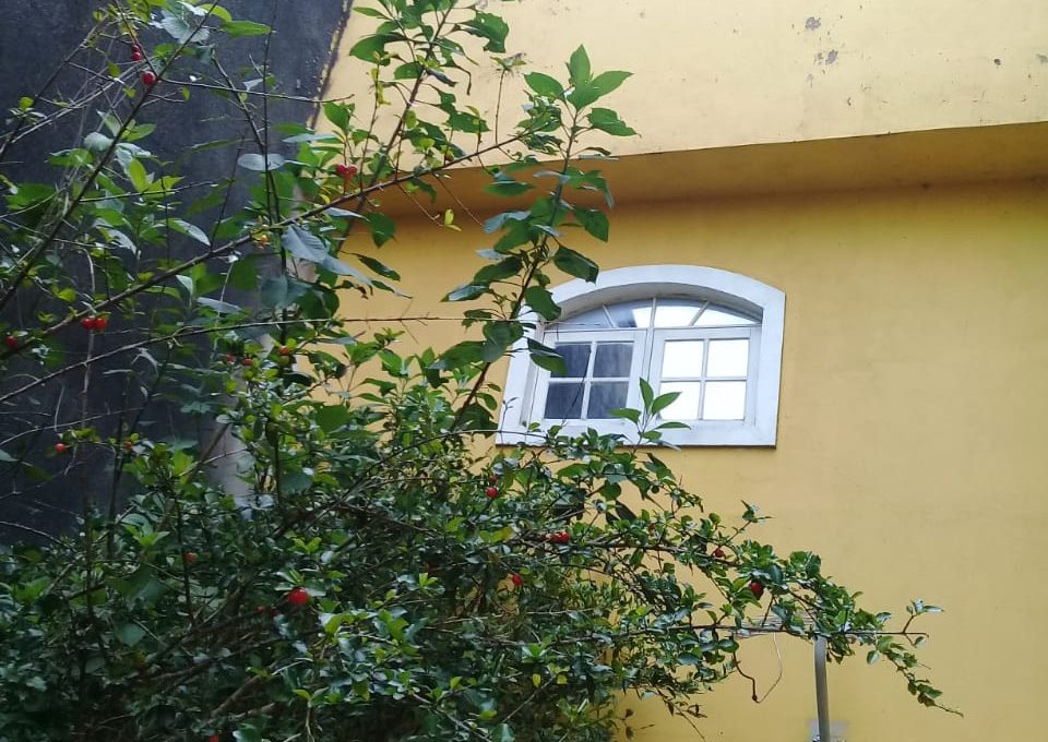 WhatsApp Image 2024-07-30 at 09.28.57