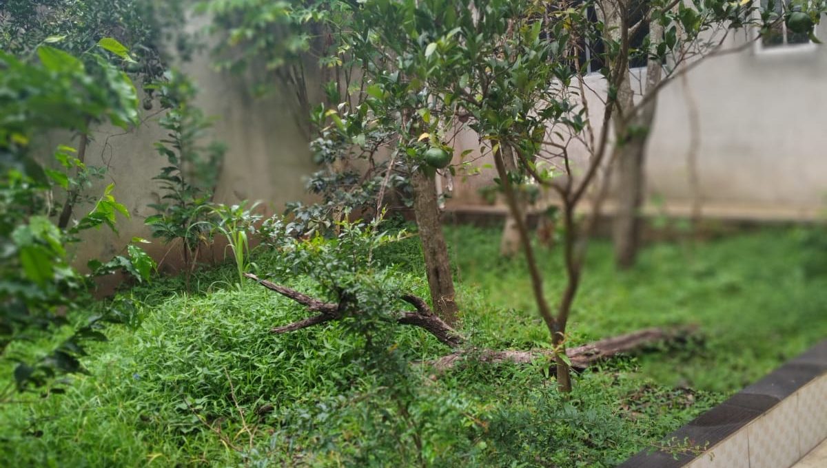 WhatsApp Image 2024-07-30 at 09.28.58