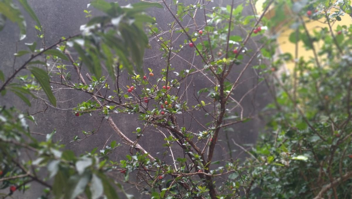 WhatsApp Image 2024-07-30 at 09.28.58 (2)