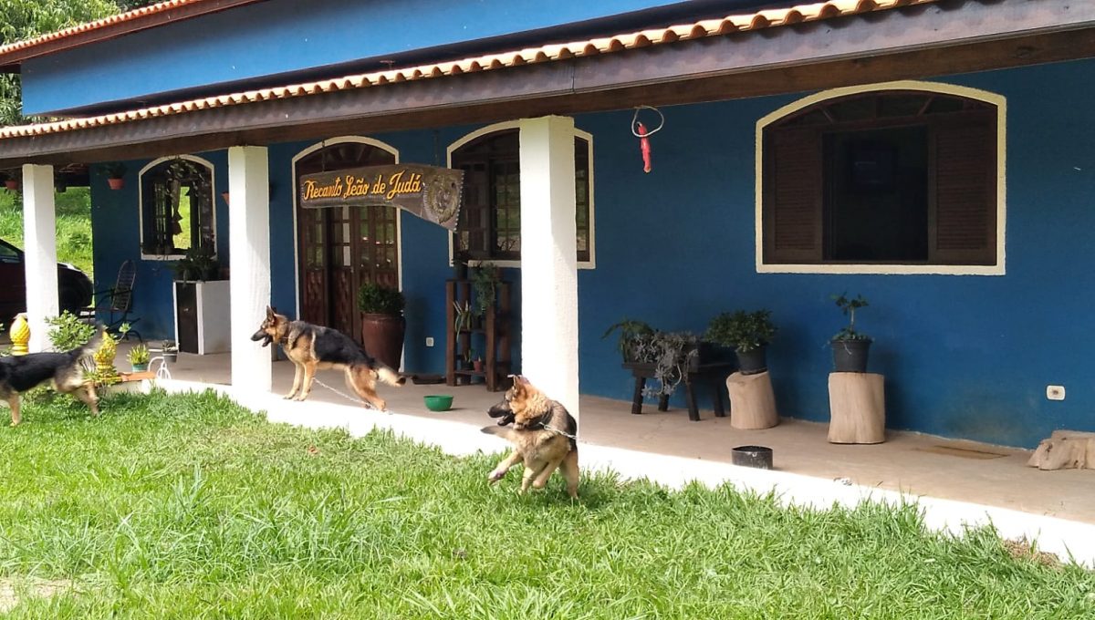 WhatsApp Image 2025-01-14 at 12.32.53